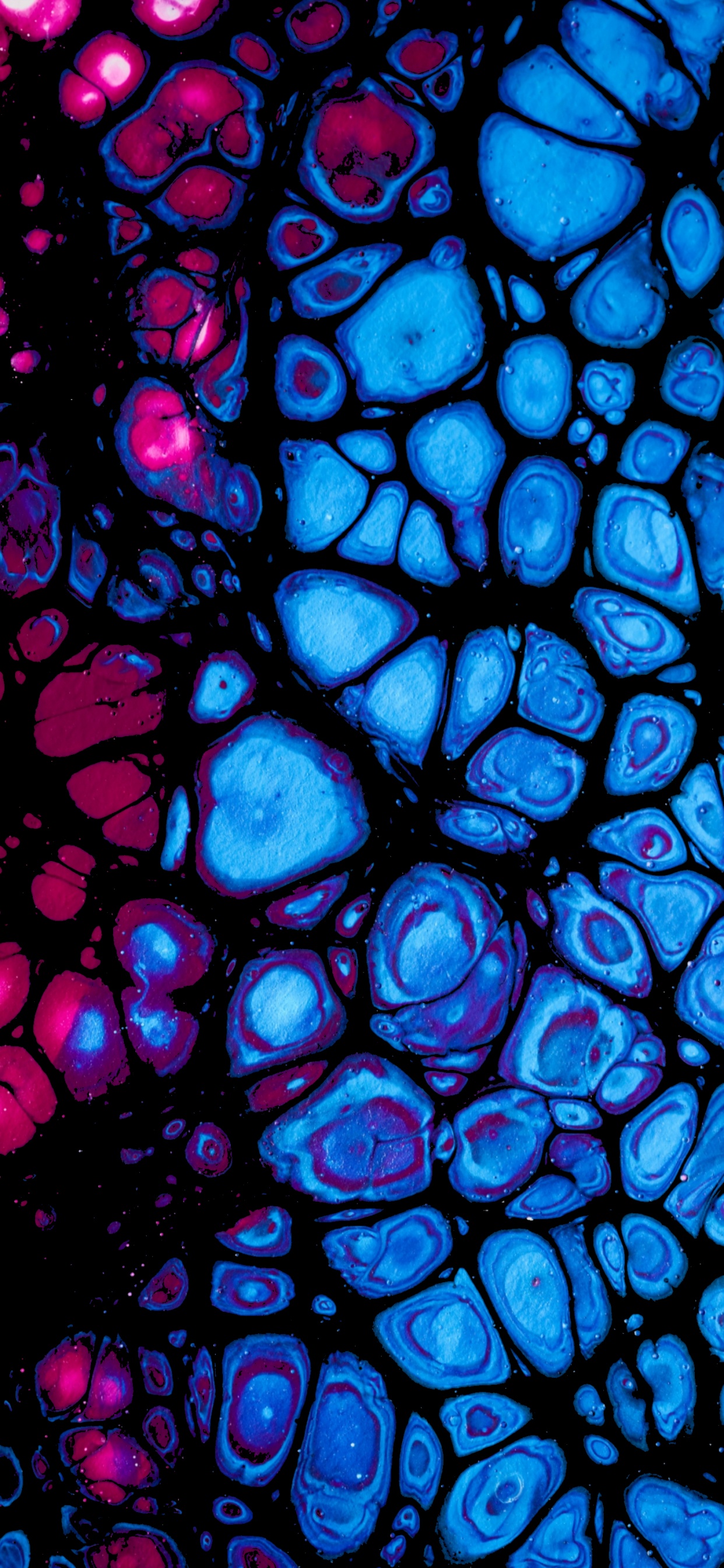 Kobaltblau, Glasmalerei, Fraktale Kunst, Kunst, Symmetrie. Wallpaper in 1242x2688 Resolution