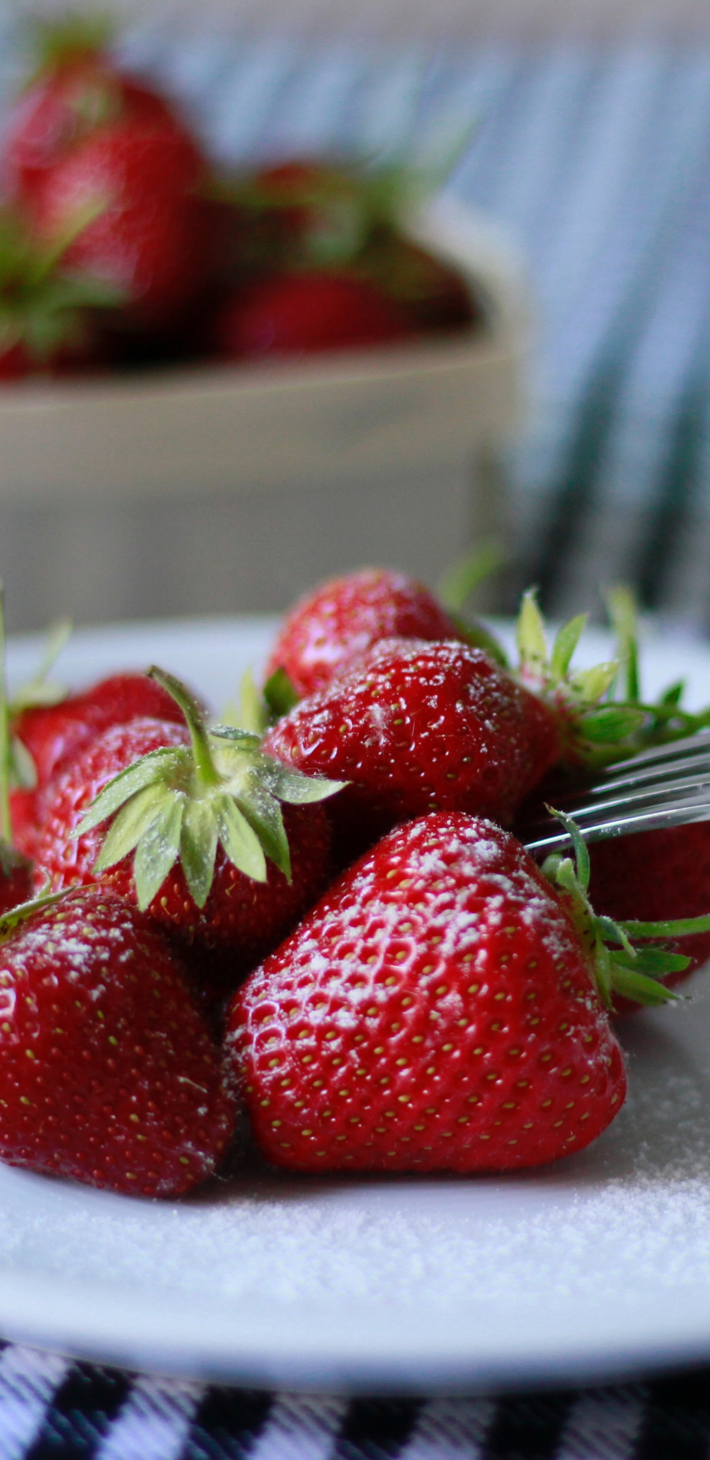 Fraises Rouges Sur Plaque en Céramique Blanche et Bleue. Wallpaper in 1440x2960 Resolution
