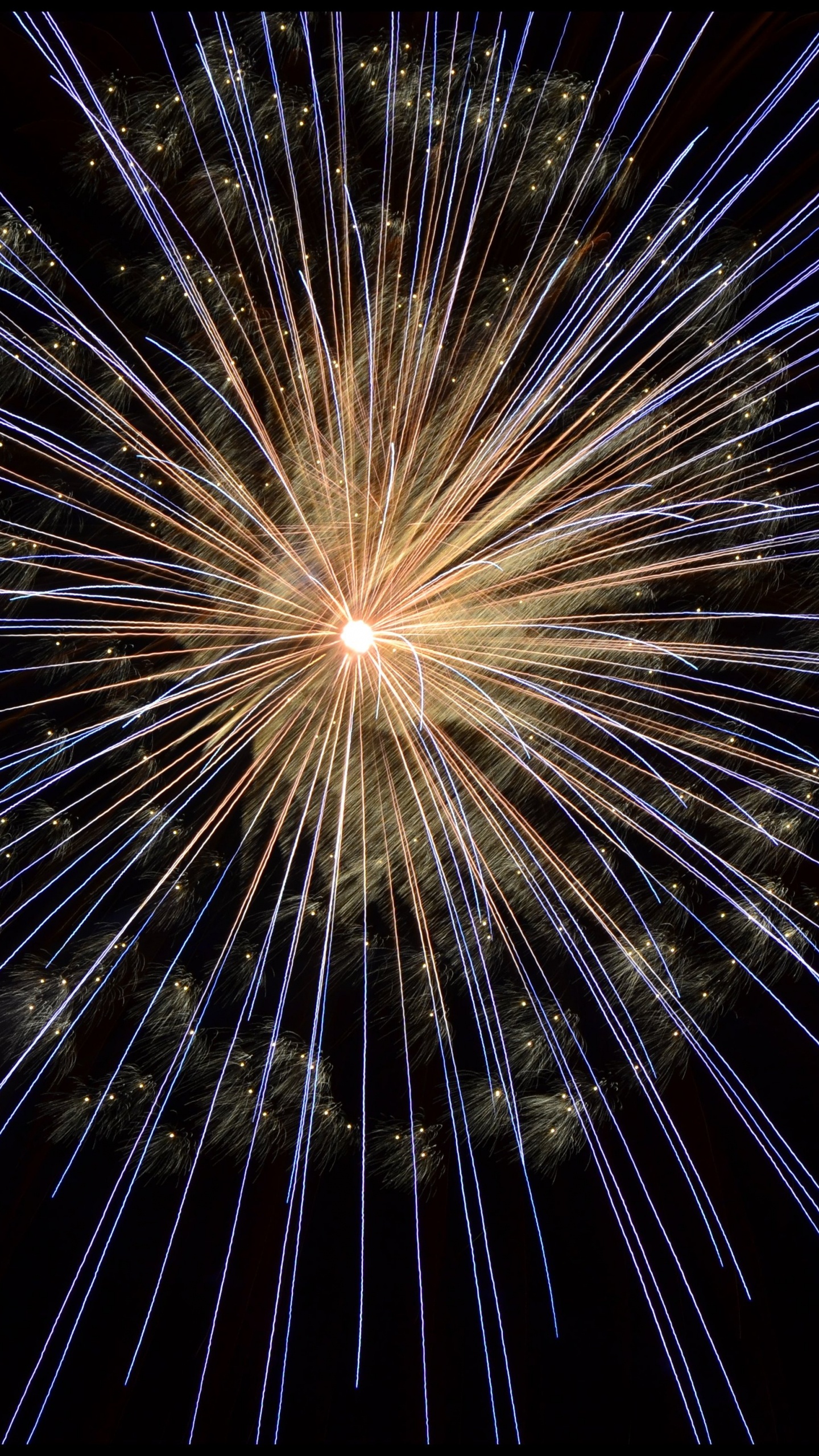 Fireworks, New Years Day, Darkness, Midnight, Diwali. Wallpaper in 1440x2560 Resolution
