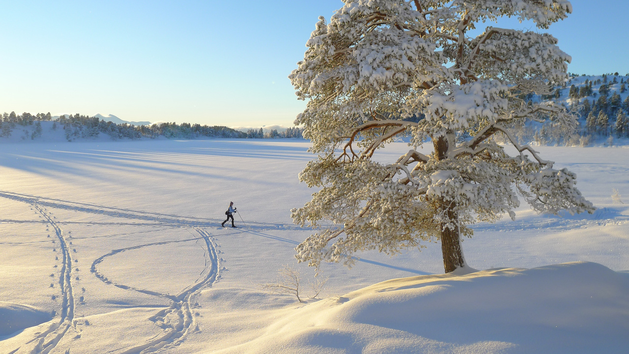 Person, Die Tagsüber Auf Schneebedecktem Boden in Der Nähe Eines Gewässers Sitzt. Wallpaper in 1280x720 Resolution