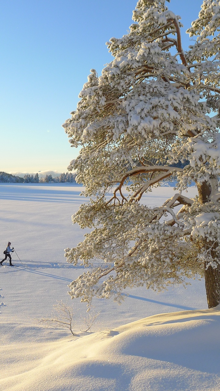 Person, Die Tagsüber Auf Schneebedecktem Boden in Der Nähe Eines Gewässers Sitzt. Wallpaper in 720x1280 Resolution
