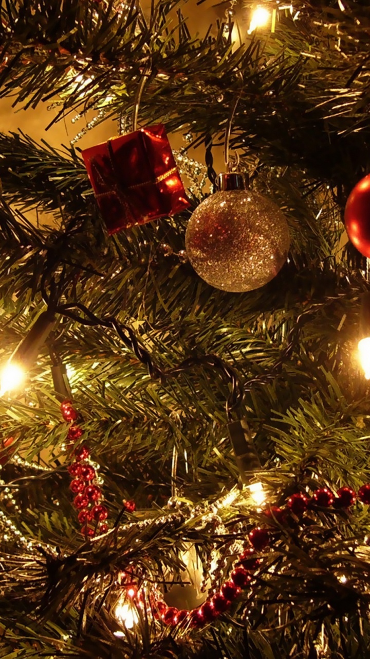 Christmas Day, Christmas Tree, Christmas Ornament, Christmas, Tree. Wallpaper in 720x1280 Resolution