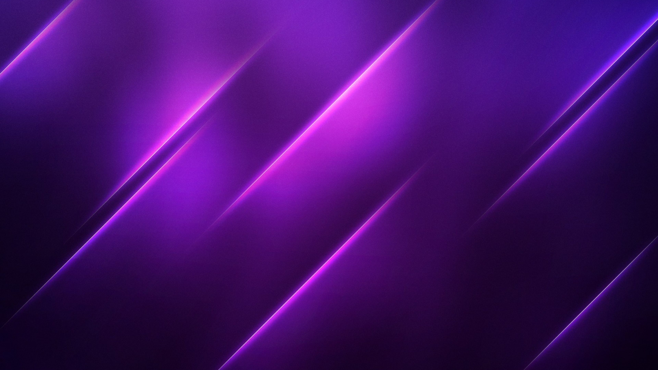 Purple Textile in Close up Photography. Wallpaper in 2560x1440 Resolution