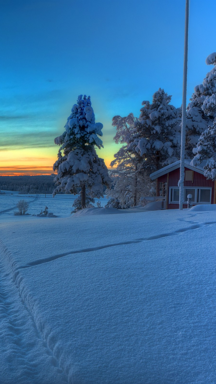 Snow Covered Road During Sunset. Wallpaper in 750x1334 Resolution