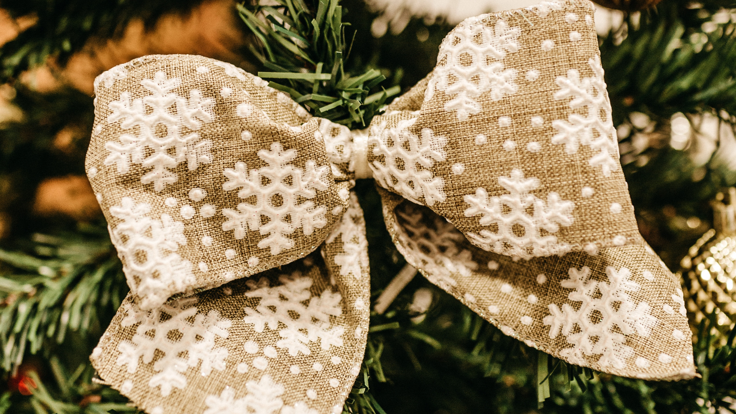 Le Jour De Noël, Ornement de Noël, Décoration de Noël, Ornement, Vacances Ornement. Wallpaper in 2560x1440 Resolution