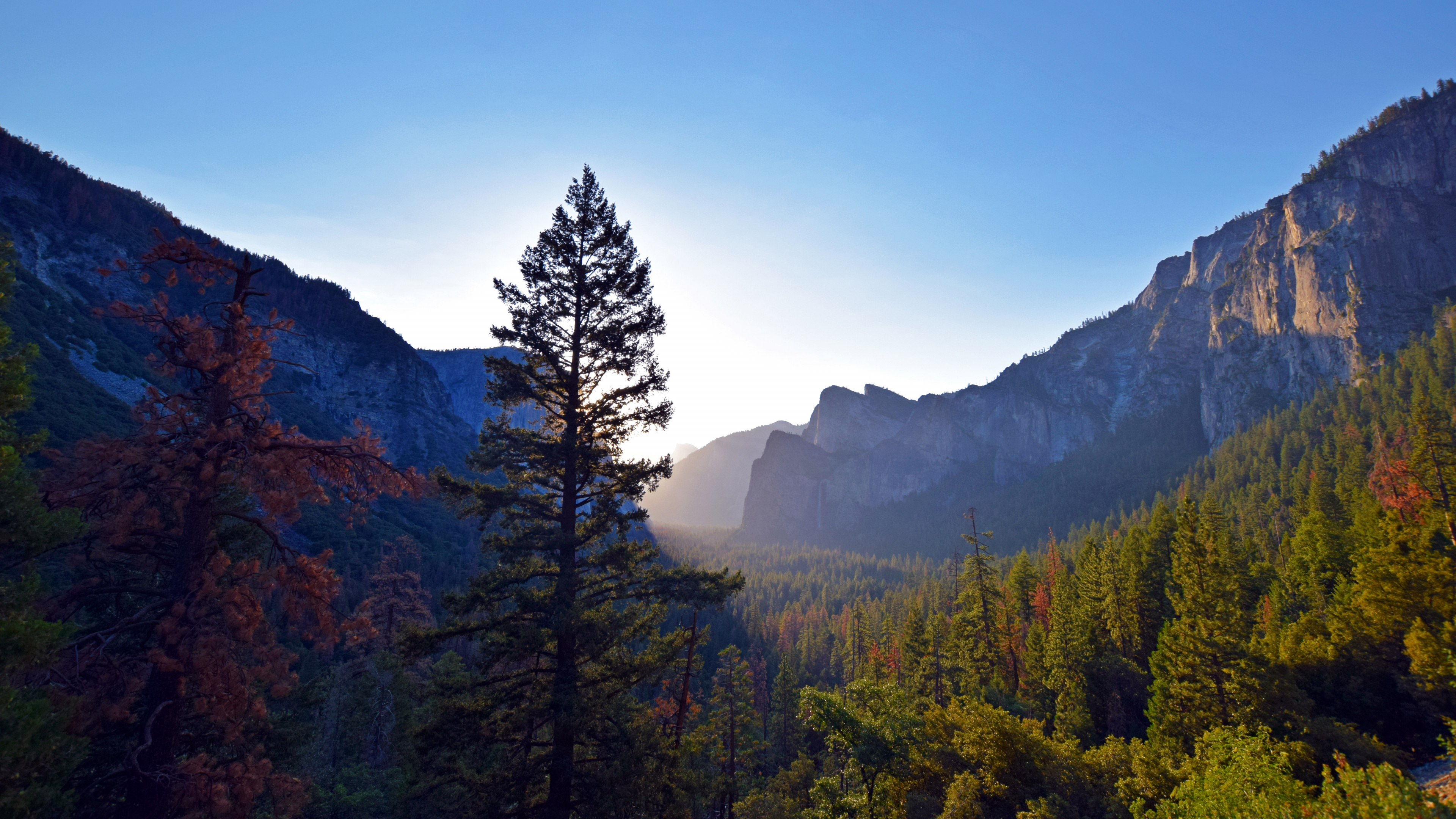Green Pine Trees Near Mountain During Daytime. Wallpaper in 3840x2160 Resolution