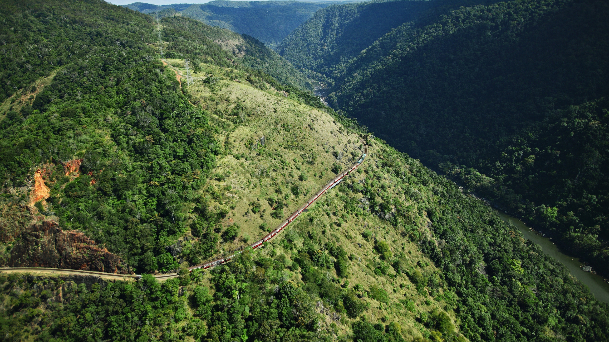 Tagsüber Grüne Bäume Auf Dem Berg. Wallpaper in 2560x1440 Resolution