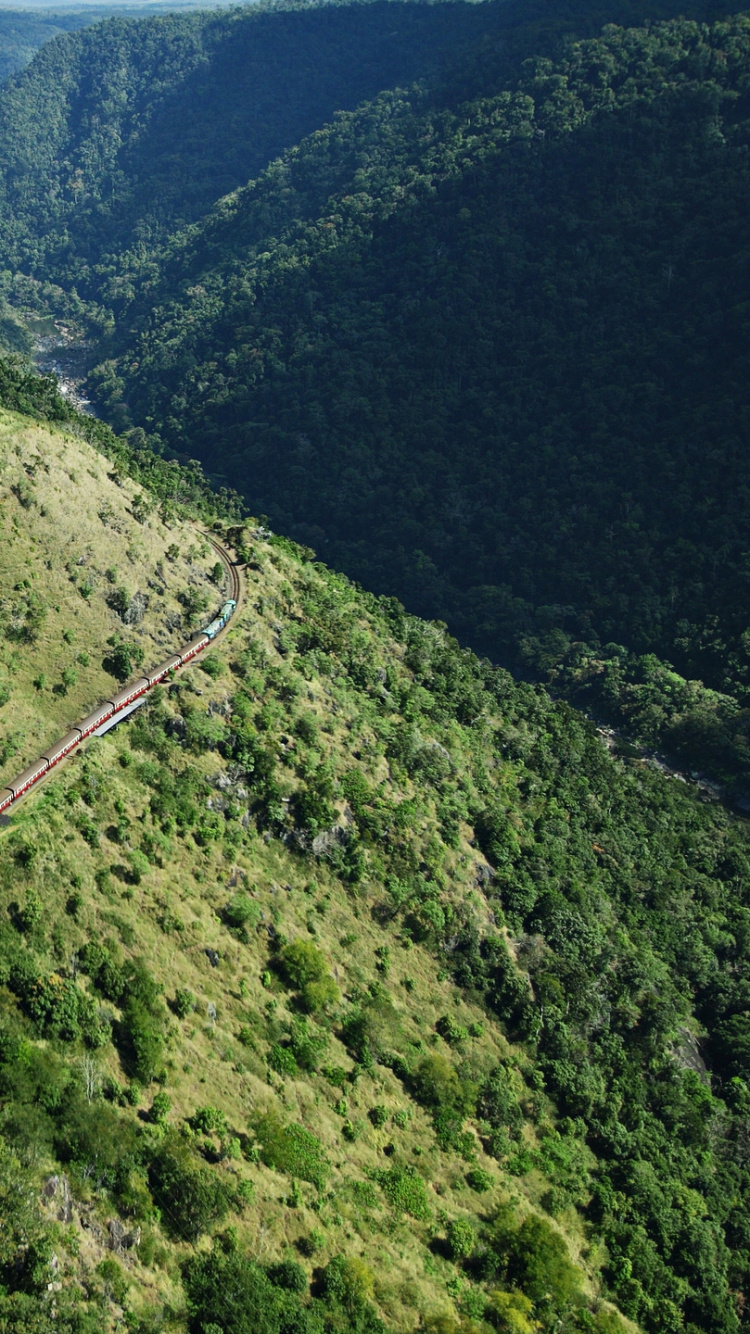 Árboles Verdes en la Montaña Durante el Día. Wallpaper in 750x1334 Resolution