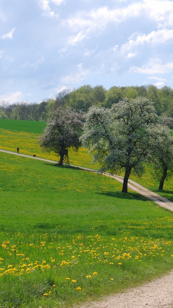 Green Grass Field and Trees Under Blue Sky During Daytime. Wallpaper in 720x1280 Resolution