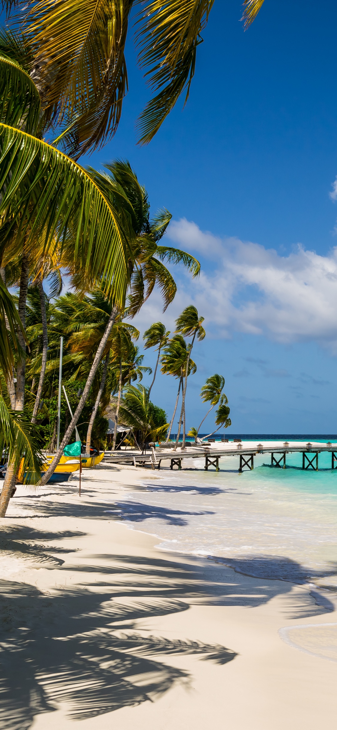 Palm Trees on Beach Shore During Daytime. Wallpaper in 1125x2436 Resolution