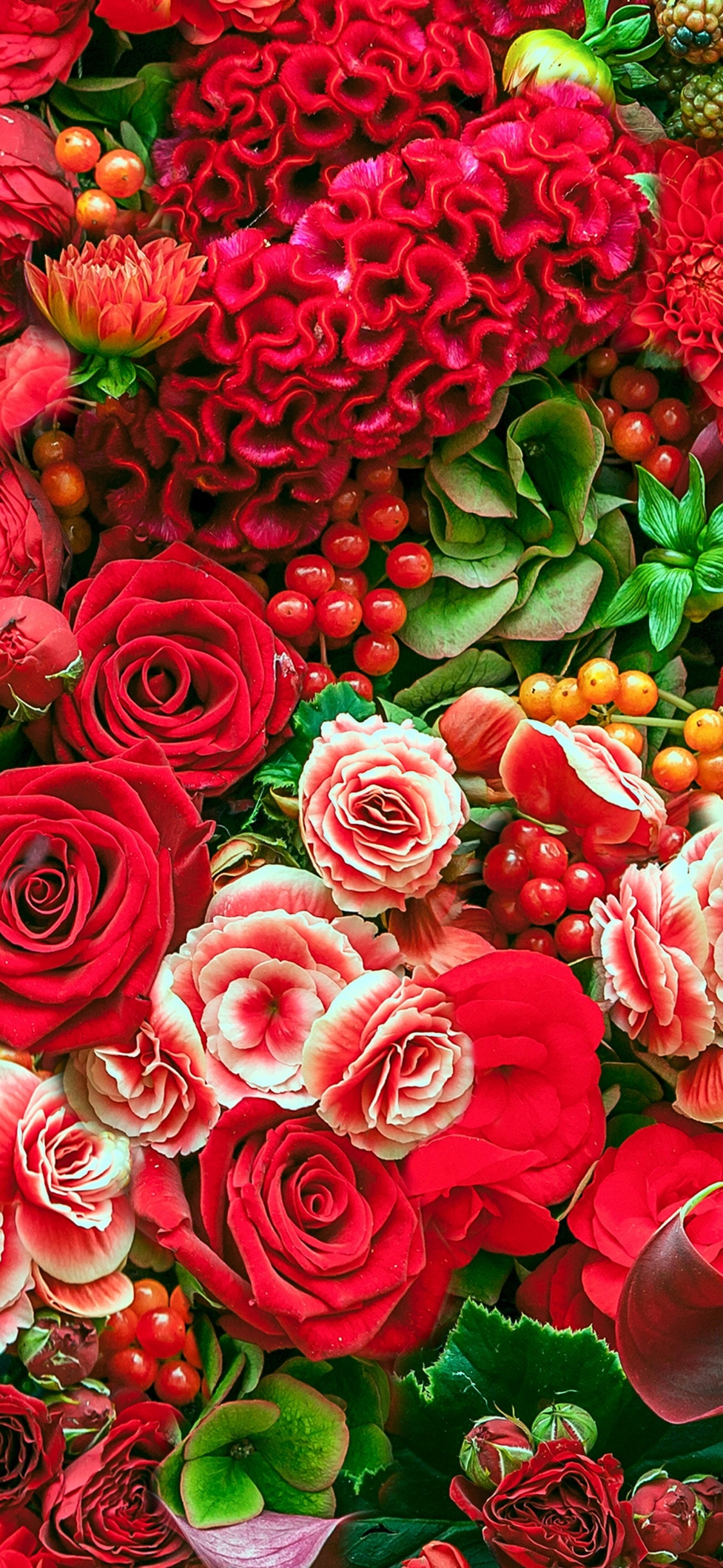 Roses Rouges Avec Des Feuilles Vertes. Wallpaper in 1125x2436 Resolution