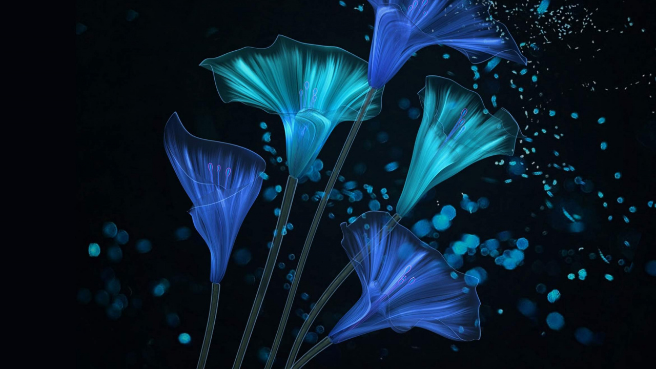 Huawei, Honor Magic 2, Honorer la Magie2, Smartphone, Huawei Honneur 8a. Wallpaper in 1280x720 Resolution