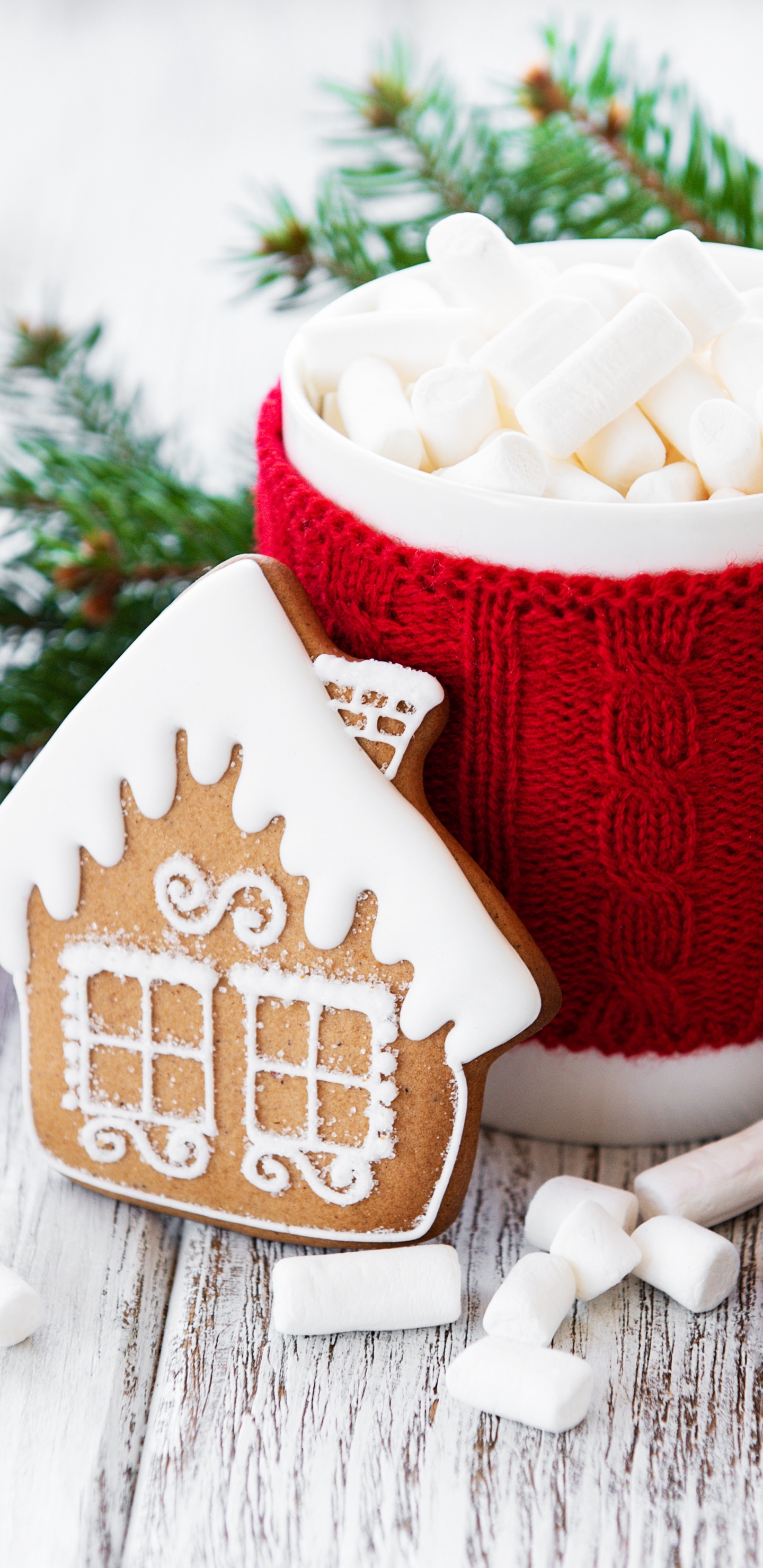 Drinkware, Tableware, Coffee Cup, Dishware, Cup. Wallpaper in 1440x2960 Resolution