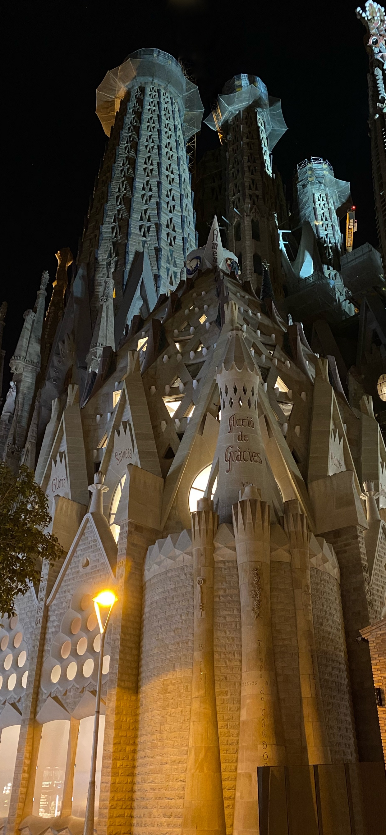 Barcelona, Spain, Landmark, Medieval Architecture, Tourist Attraction. Wallpaper in 1242x2688 Resolution