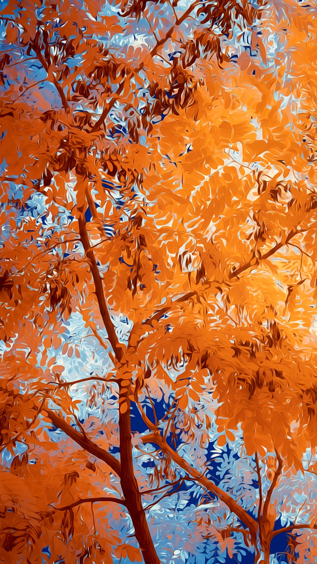 树枝, 自然景观, 橙色, 琥珀色, 落叶 壁纸 1080x1920 允许