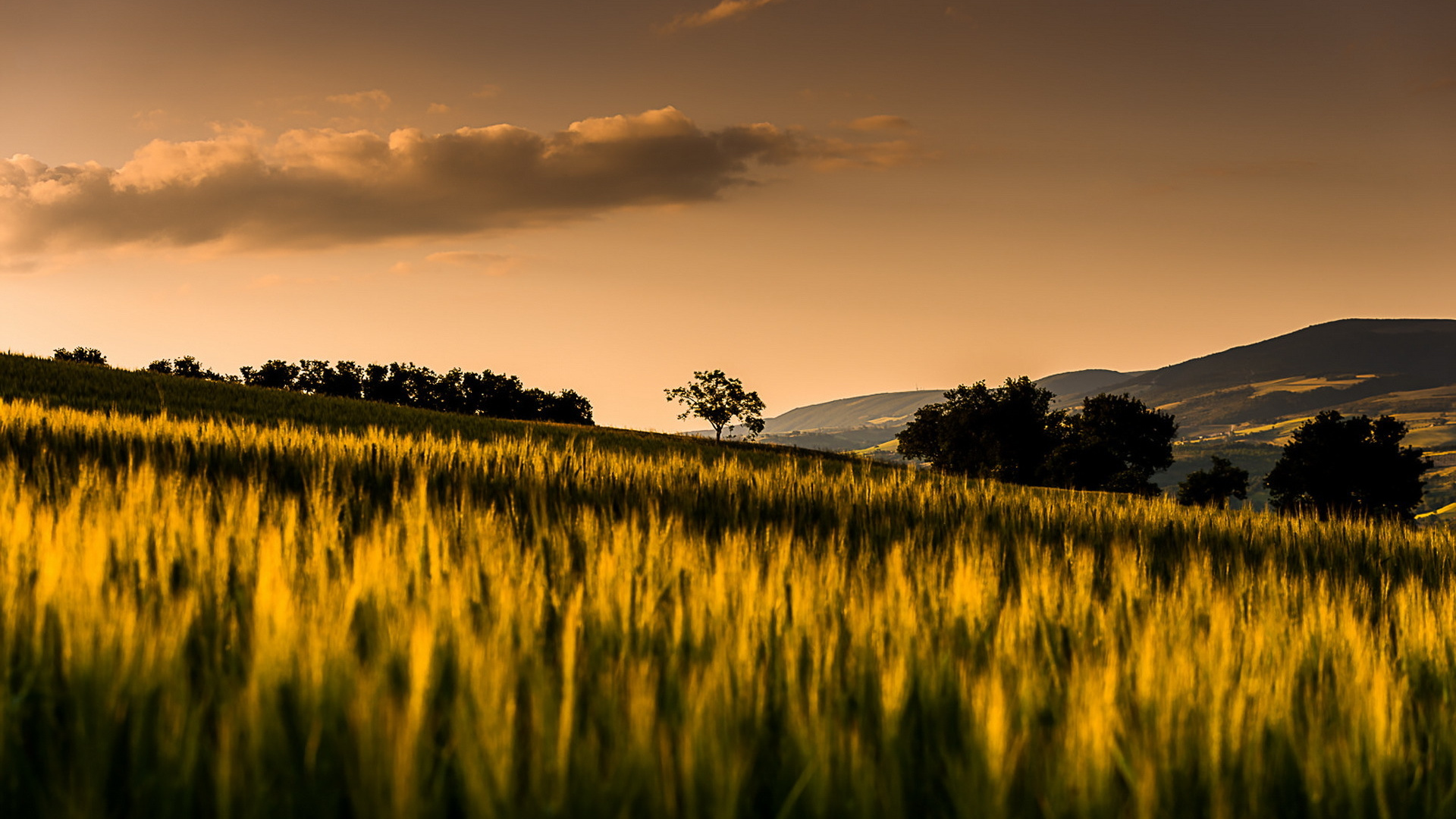 Green Grass Field Under Cloudy Sky During Daytime. Wallpaper in 1920x1080 Resolution