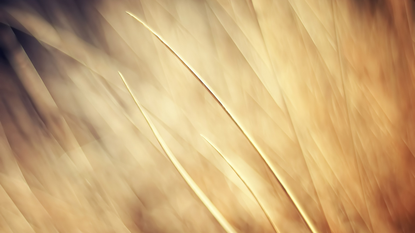 Digitale Tapete Mit Braunem Und Weißem Licht. Wallpaper in 1366x768 Resolution