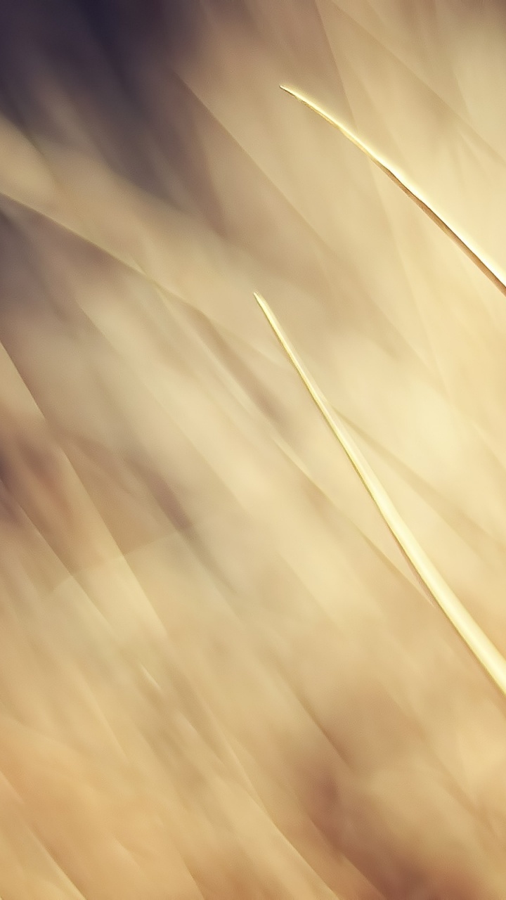 Brown and White Light Digital Wallpaper. Wallpaper in 720x1280 Resolution