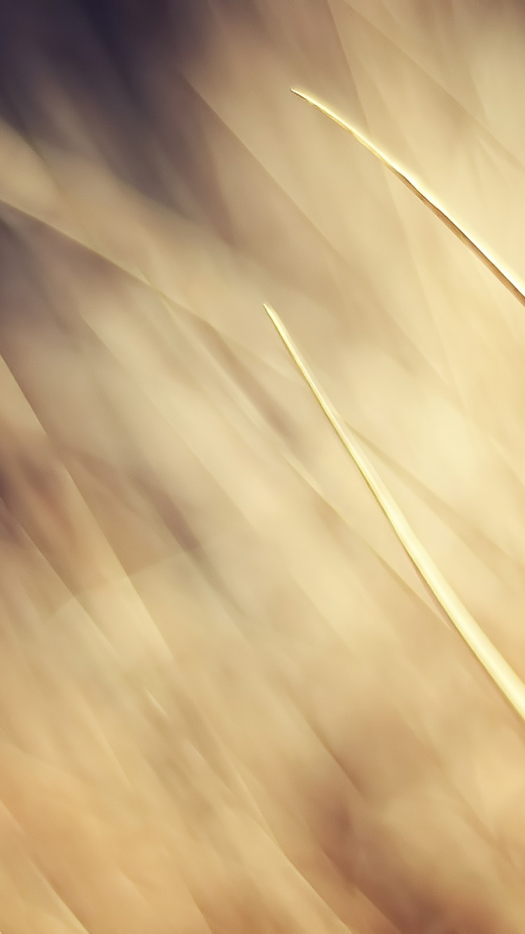 Brown and White Light Digital Wallpaper. Wallpaper in 750x1334 Resolution