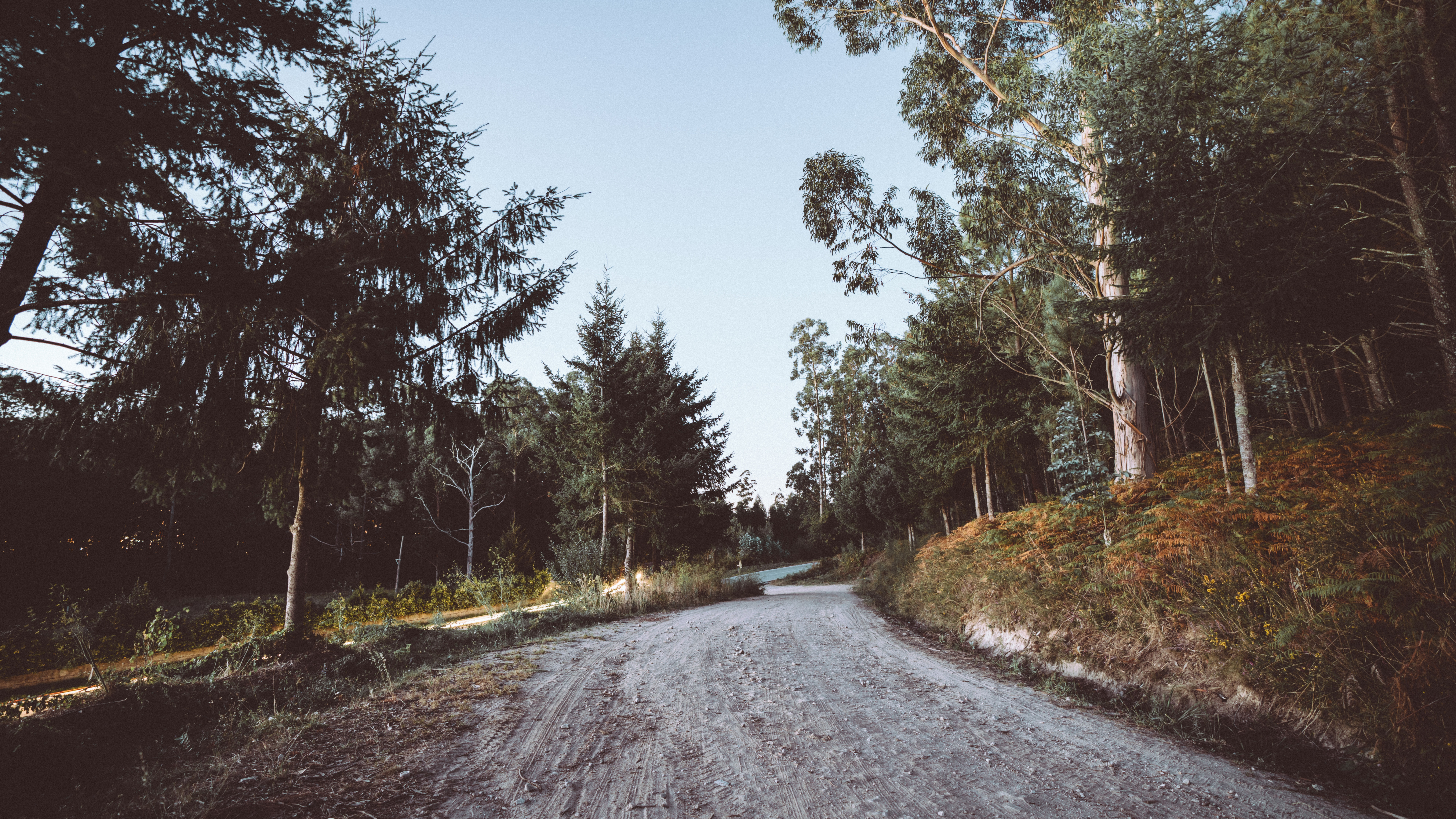 Road, Baum, Asphalt, Naturlandschaft, Winter. Wallpaper in 7680x4320 Resolution