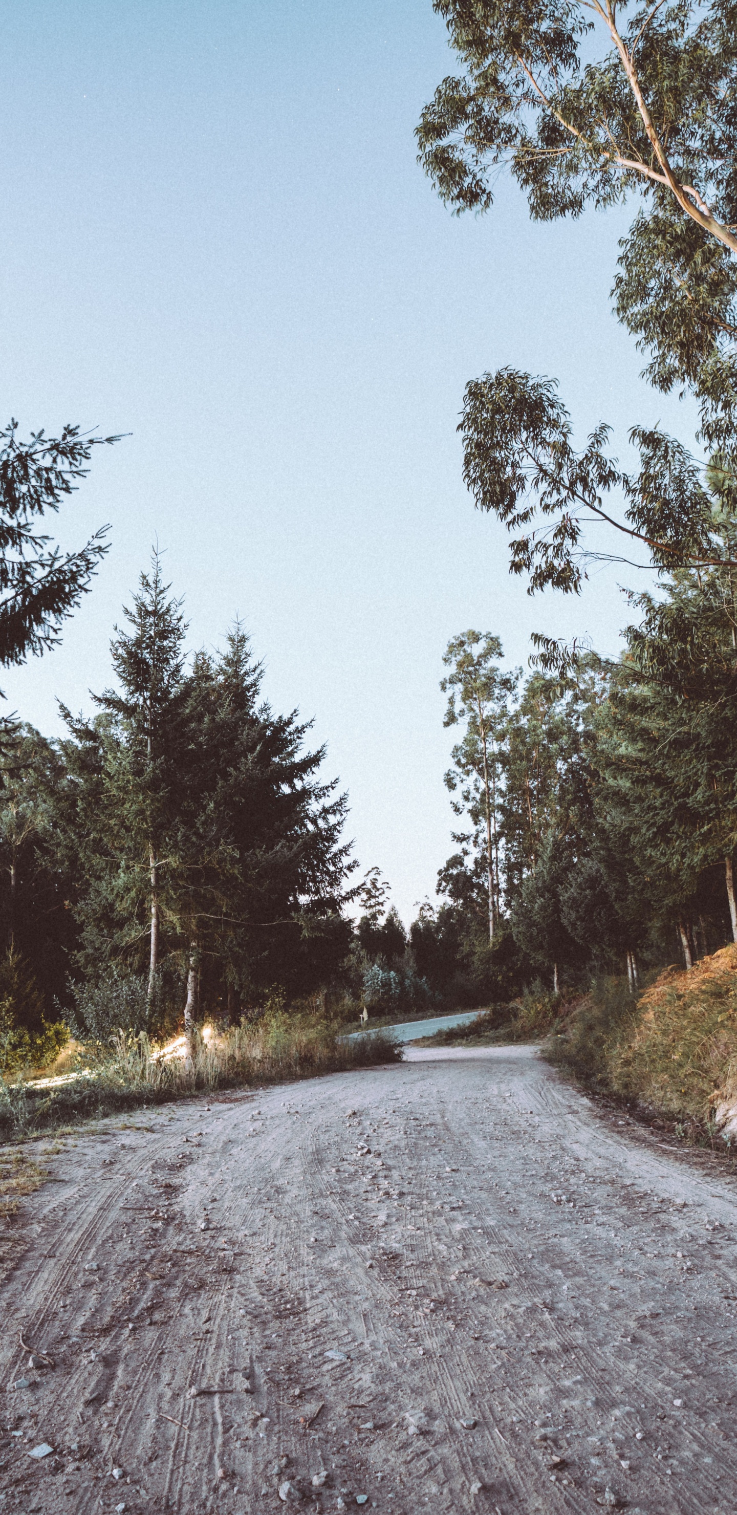 Route, Voie, Asphalt, Paysage Naturel, Hiver. Wallpaper in 1440x2960 Resolution