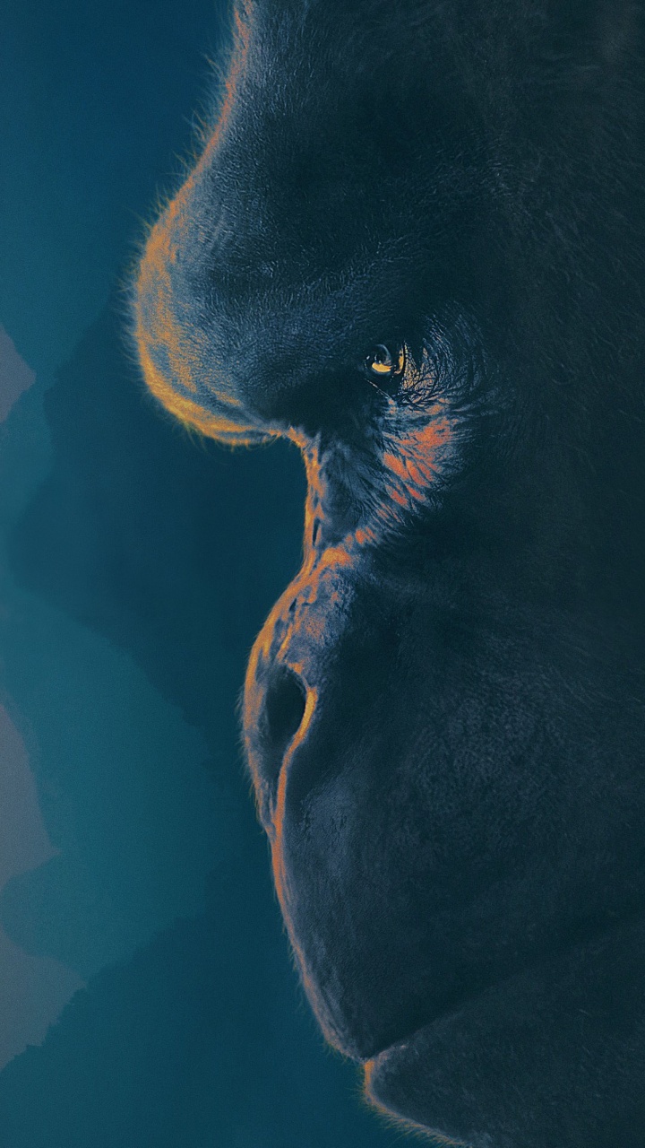 Black Short Coated Dog Lying on Floor. Wallpaper in 720x1280 Resolution