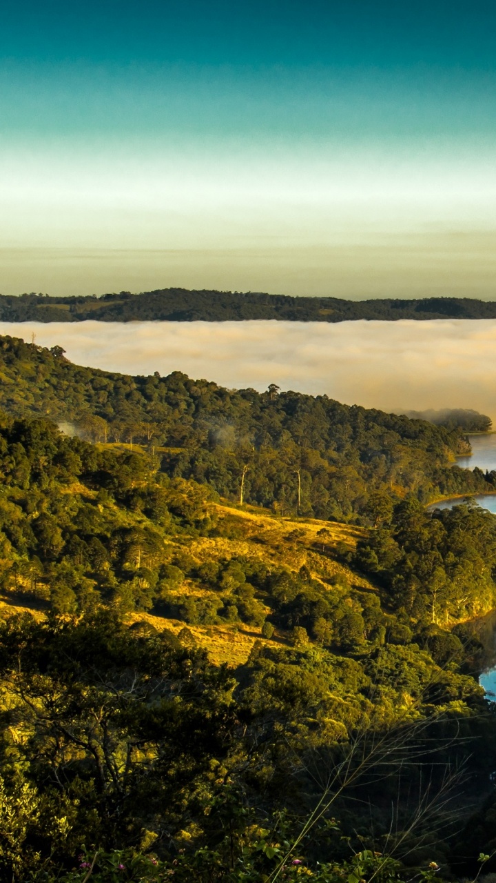 Green Trees on Mountain Near Body of Water During Daytime. Wallpaper in 720x1280 Resolution