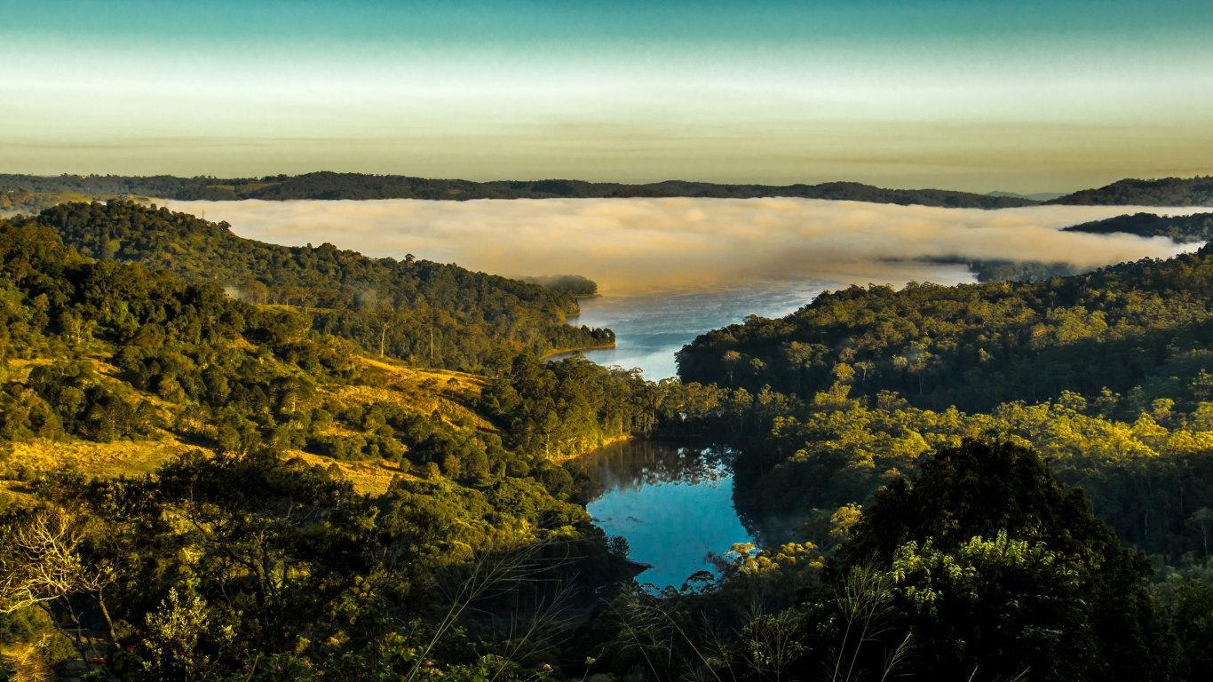 Grüne Bäume Auf Einem Berg in Der Nähe Von Gewässern Tagsüber Water. Wallpaper in 1366x768 Resolution