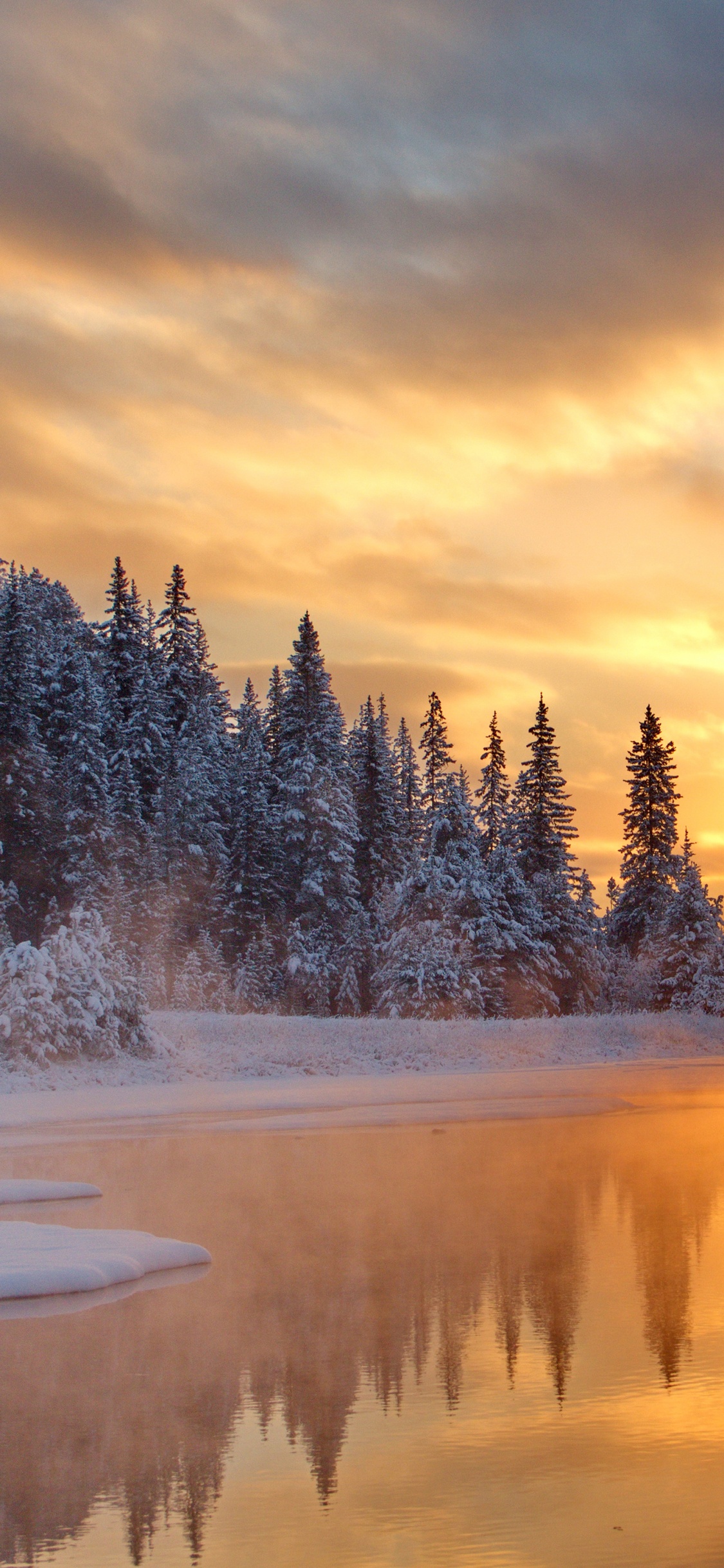 Schneebedeckte Bäume in Der Nähe Von Gewässern Während Des Sonnenuntergangs. Wallpaper in 1125x2436 Resolution