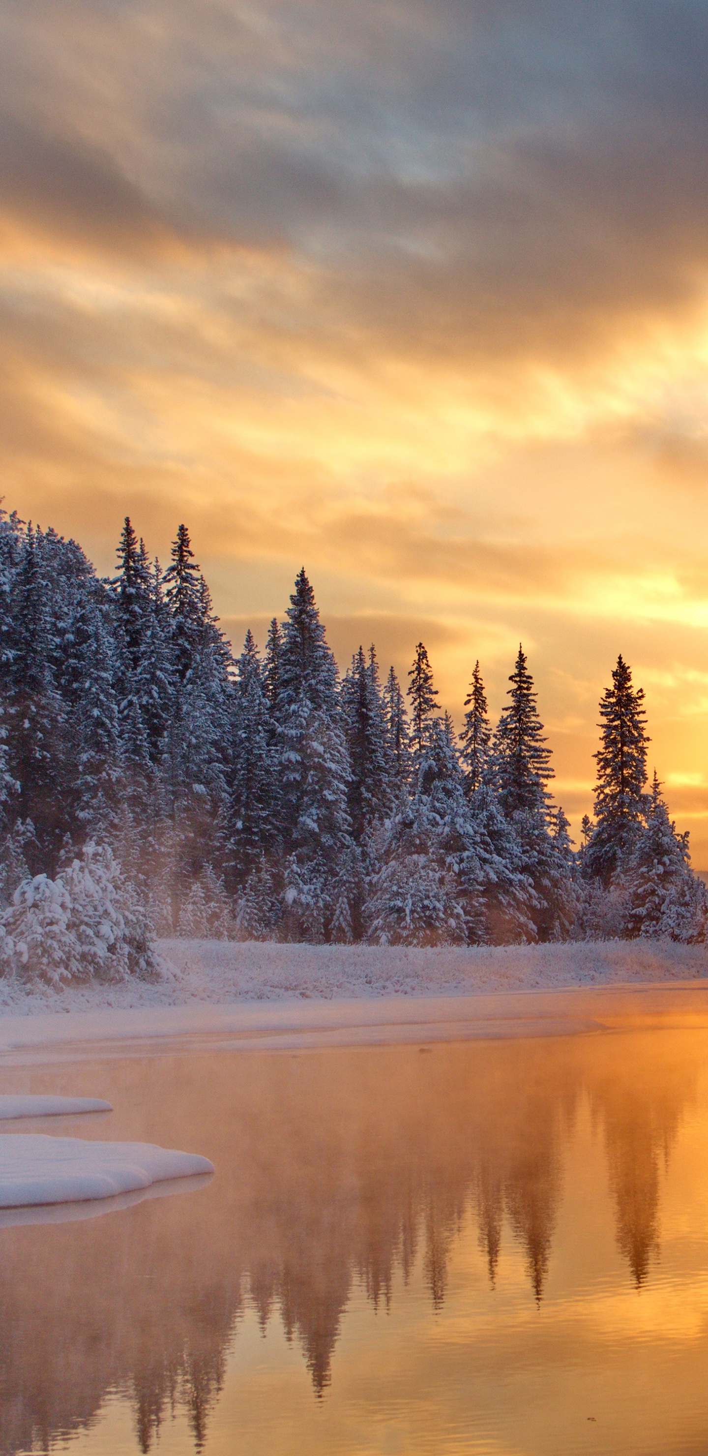 Snow Covered Trees Near Body of Water During Sunset. Wallpaper in 1440x2960 Resolution