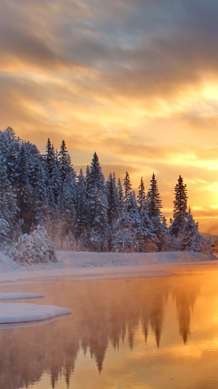 Snow Covered Trees Near Body of Water During Sunset. Wallpaper in 750x1334 Resolution