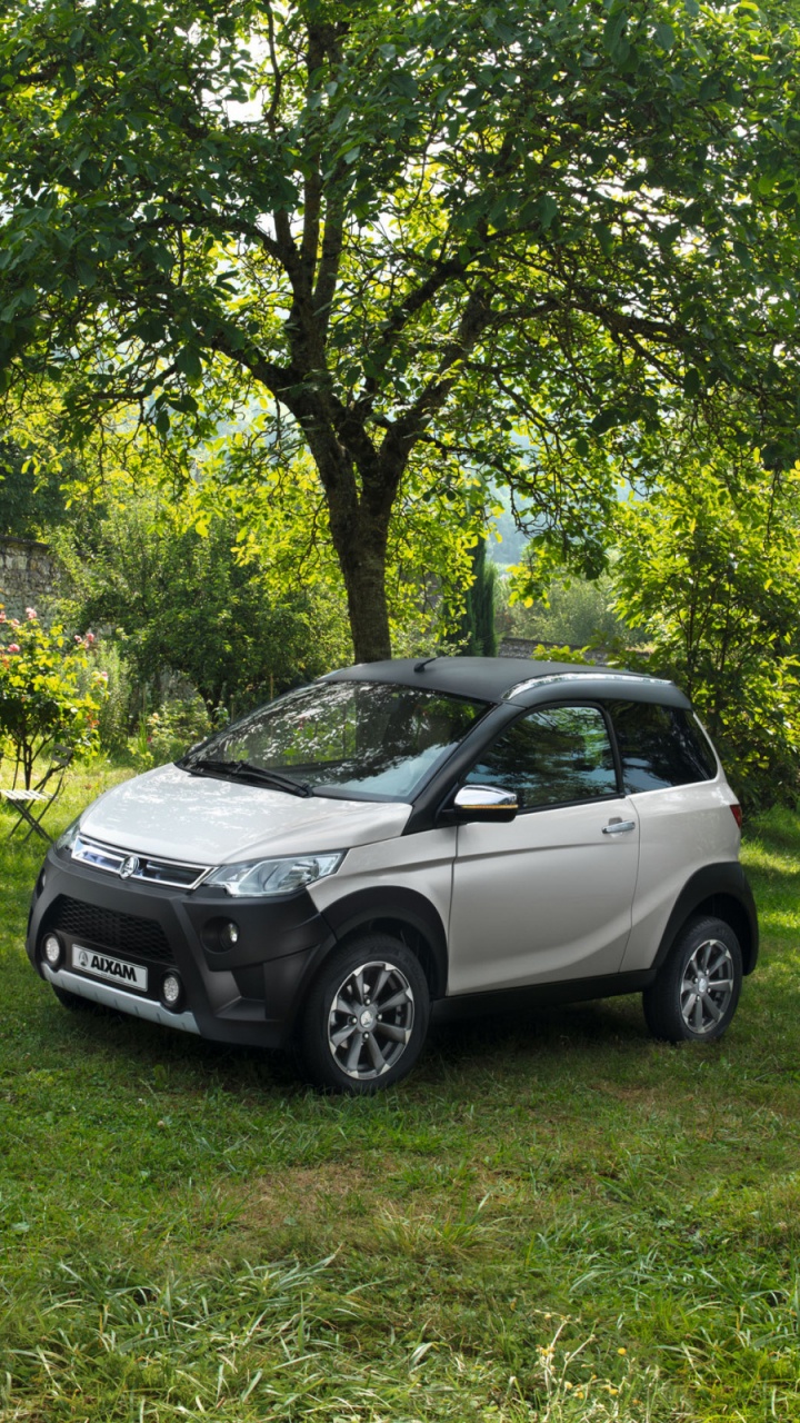 Cuadriciclo, Aixam, Rey, Ciclomotor, Ligier. Wallpaper in 720x1280 Resolution