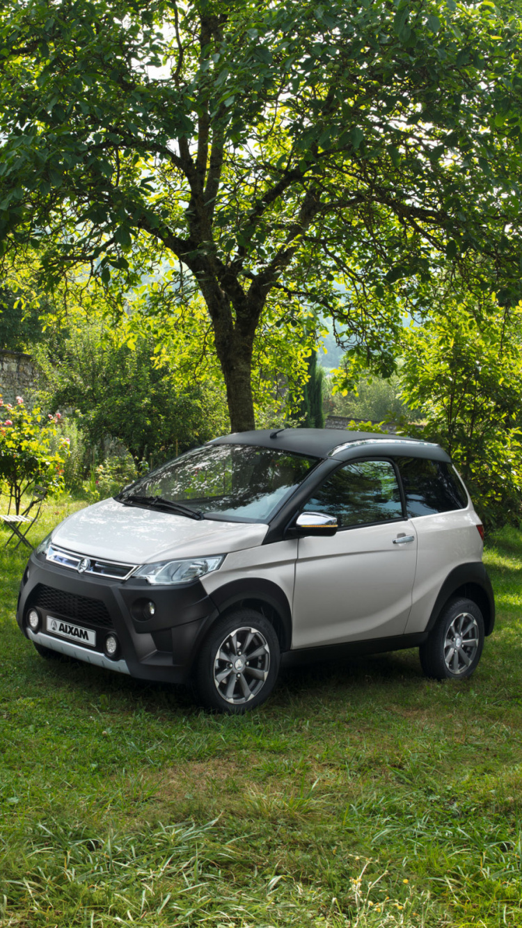 Quadricycle, Aixam, King, Moped, Ligier. Wallpaper in 750x1334 Resolution