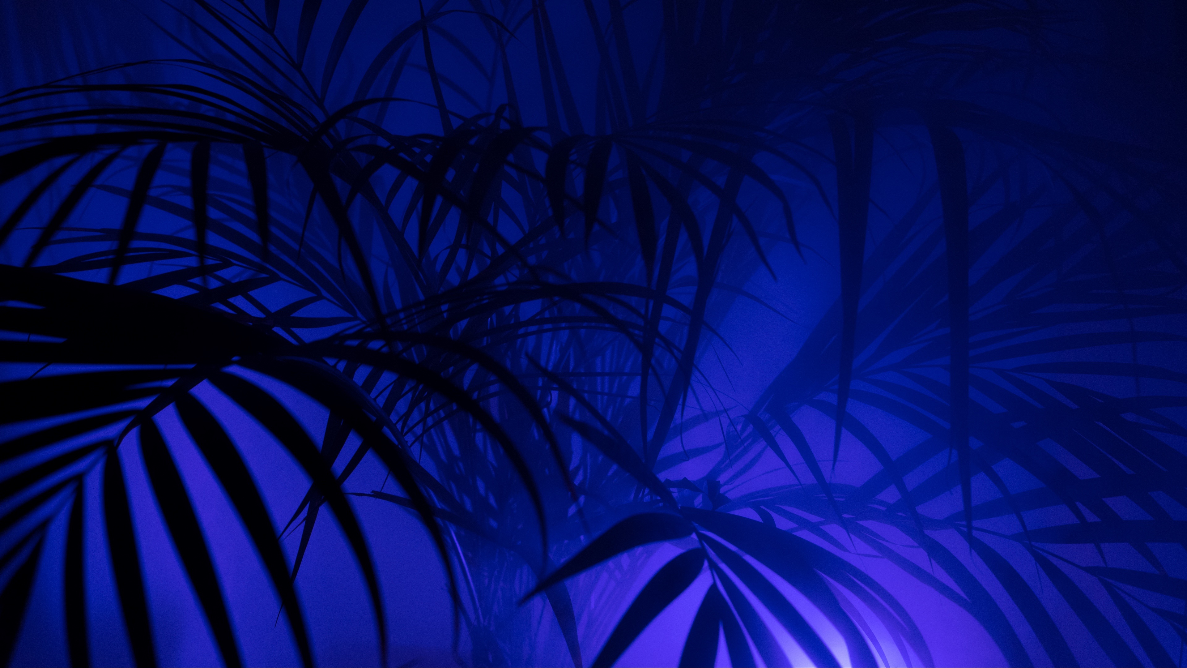 Peinture Abstraite Bleue et Noire. Wallpaper in 3840x2160 Resolution