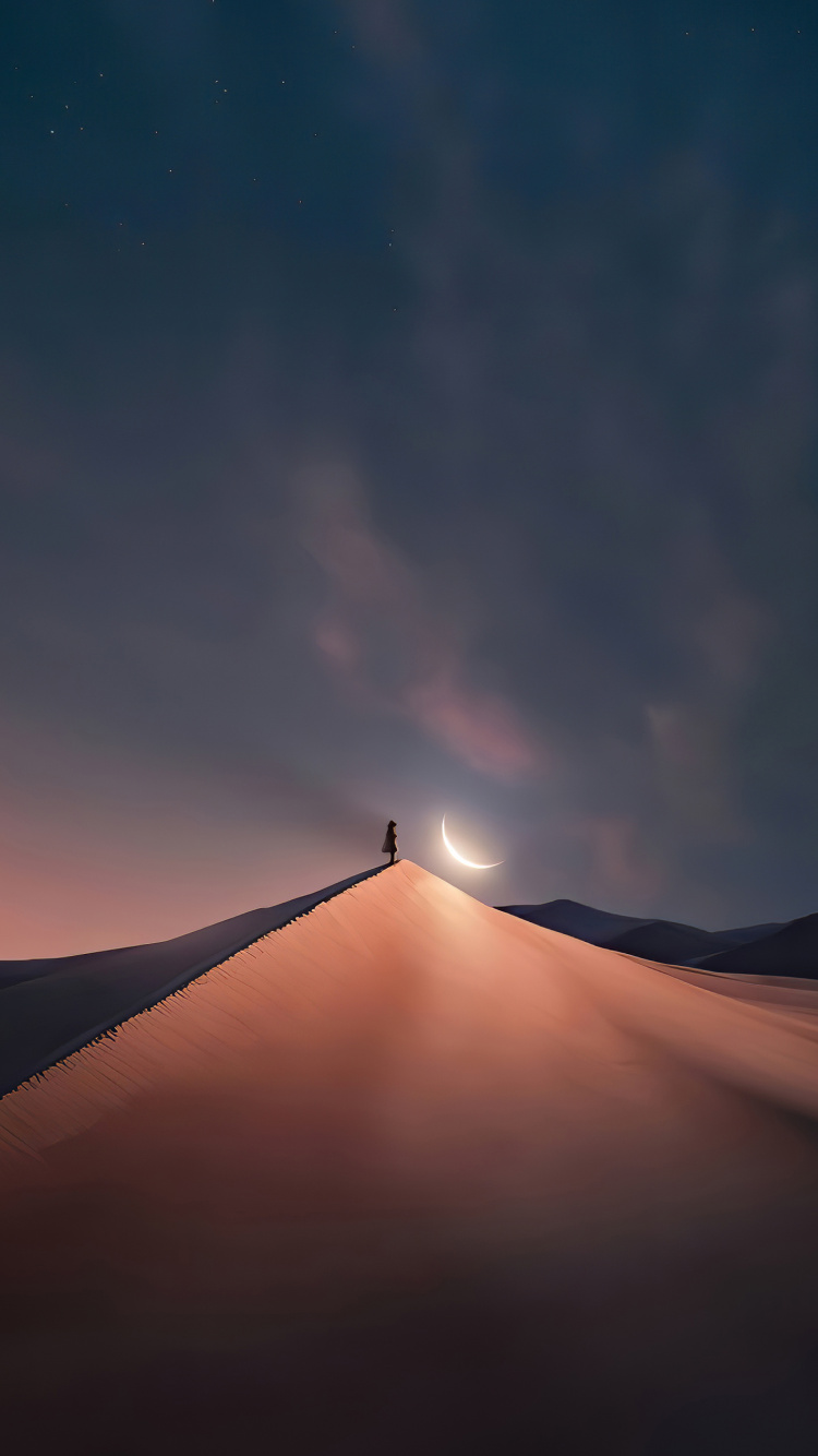 月光, 夜晚的天空, 天文学, 月亮, 明星 壁纸 750x1334 允许