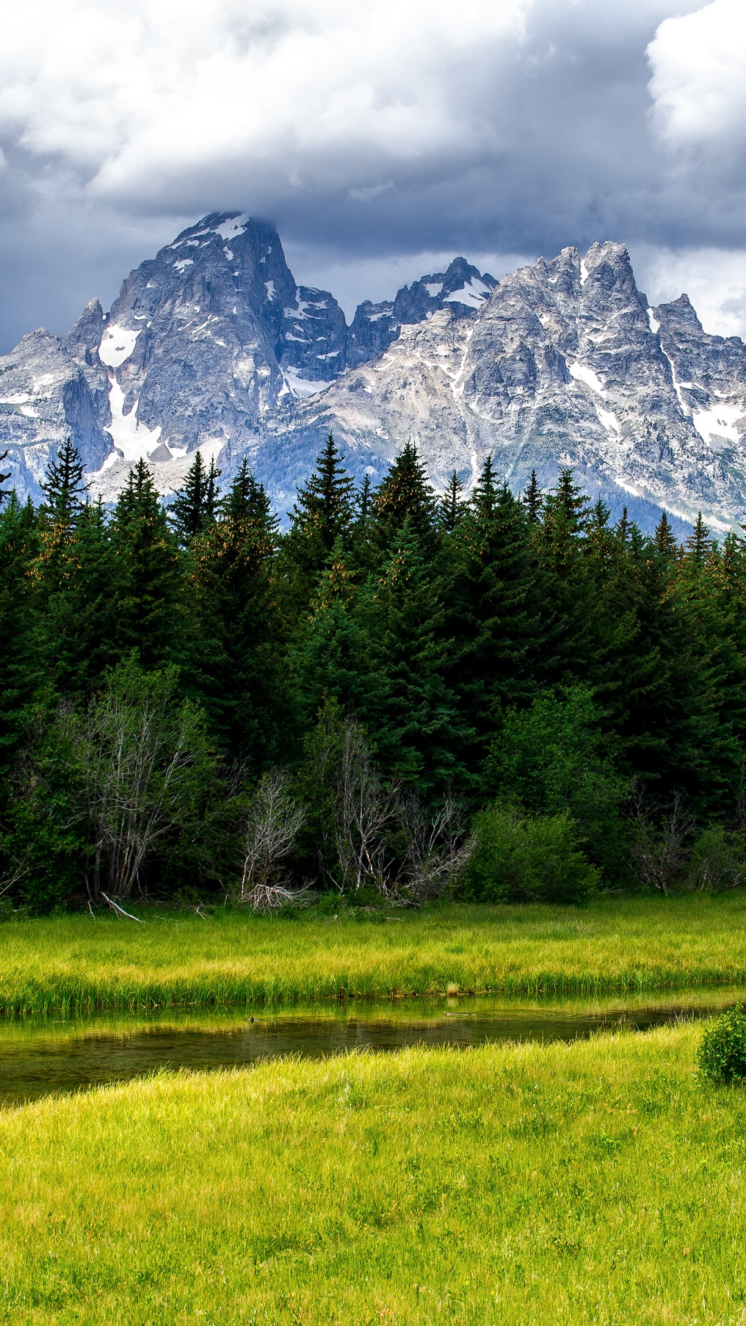 Green Grass Field Near Trees and Snow Covered Mountain During Daytime. Wallpaper in 1080x1920 Resolution