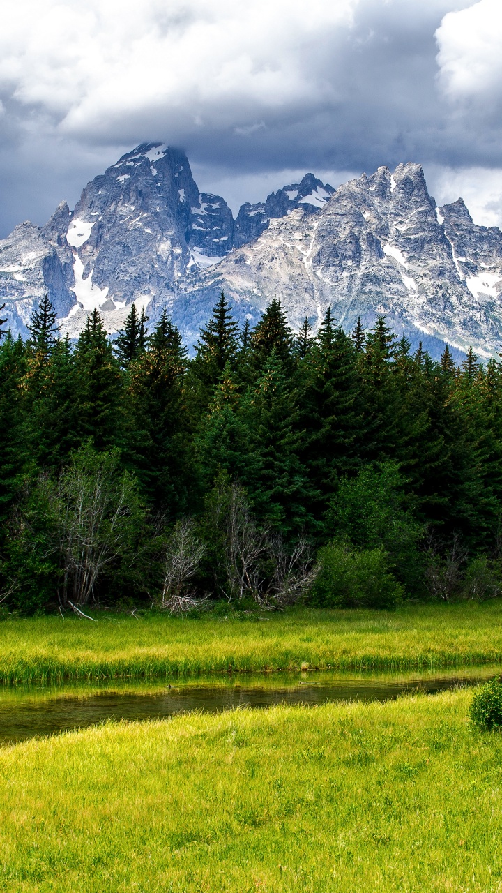 Green Grass Field Near Trees and Snow Covered Mountain During Daytime. Wallpaper in 720x1280 Resolution