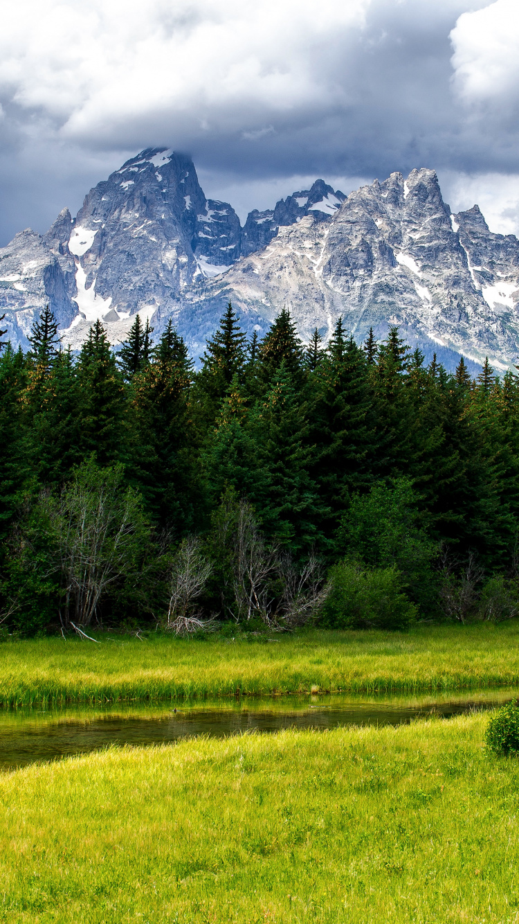 Green Grass Field Near Trees and Snow Covered Mountain During Daytime. Wallpaper in 750x1334 Resolution