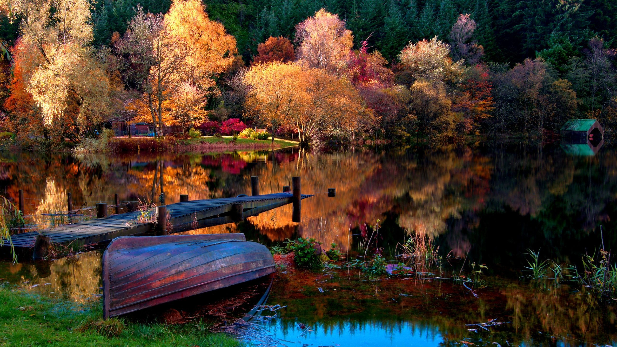 Herbst, See, Reflexion, Natur, Naturlandschaft. Wallpaper in 2560x1440 Resolution