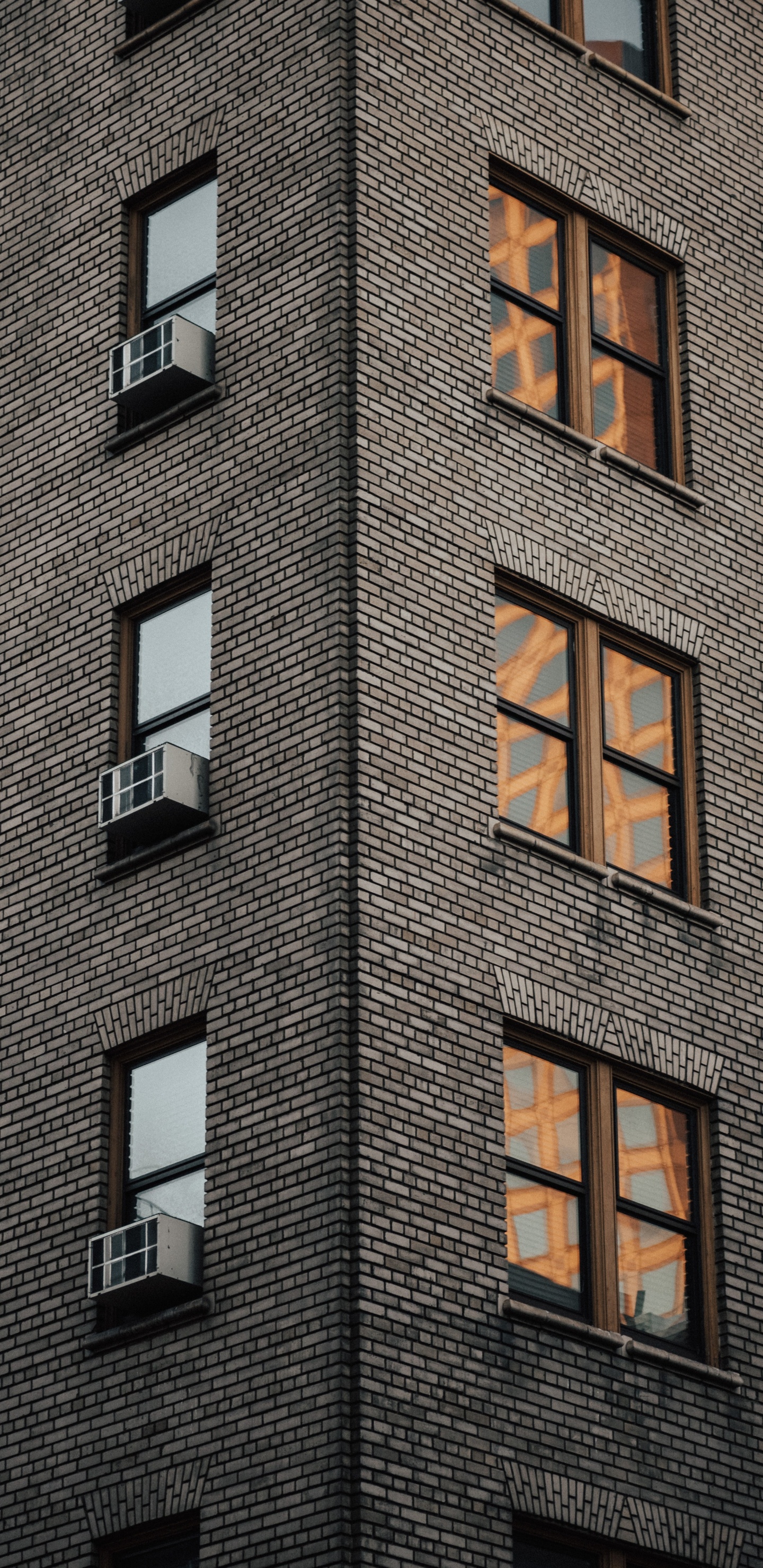 San Francisco, Área Urbana, Edificio, Arquitectura, Ventana. Wallpaper in 1440x2960 Resolution