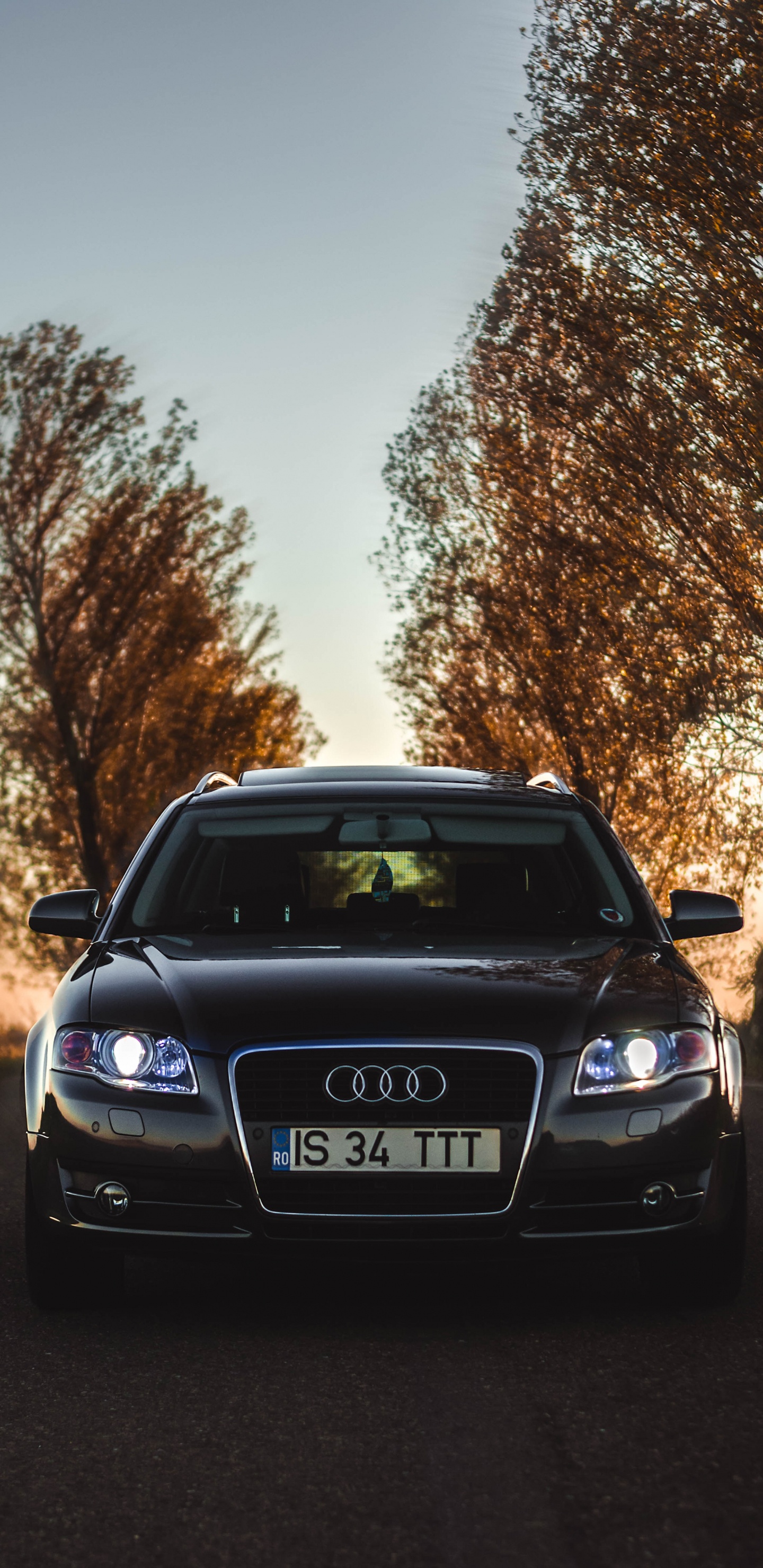 Audi A 4 Negro Estacionado en el Campo de Hierba Verde Durante la Puesta de Sol. Wallpaper in 1440x2960 Resolution