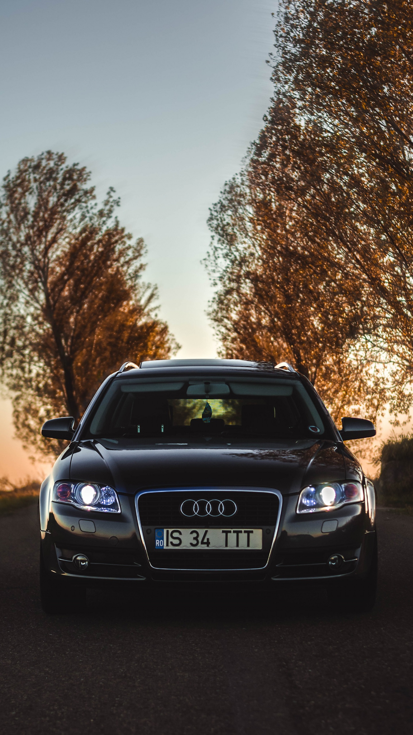 Black Audi a 4 Parked on Green Grass Field During Sunset. Wallpaper in 1440x2560 Resolution