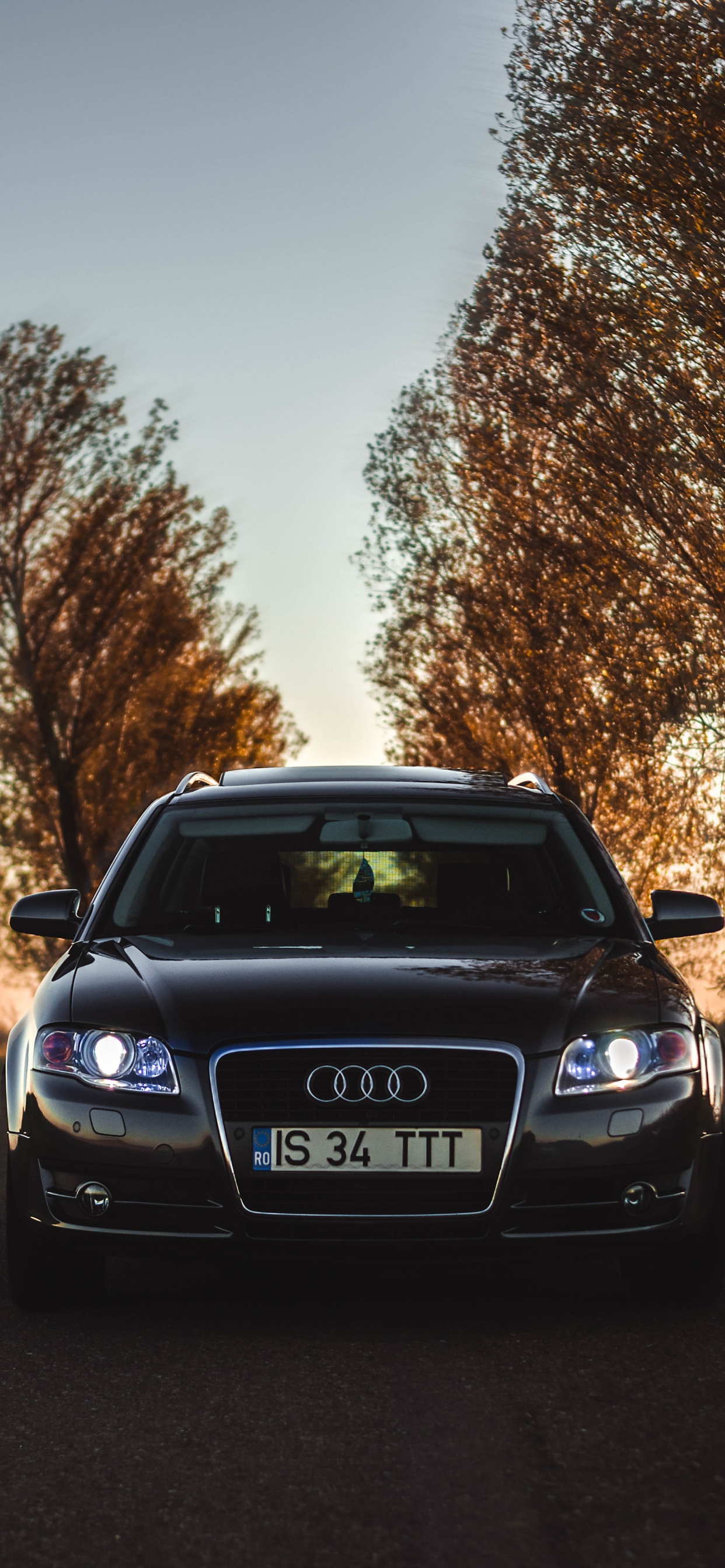Schwarzer Audi a 4 Parkte Bei Sonnenuntergang Auf Grüner Wiese. Wallpaper in 1242x2688 Resolution