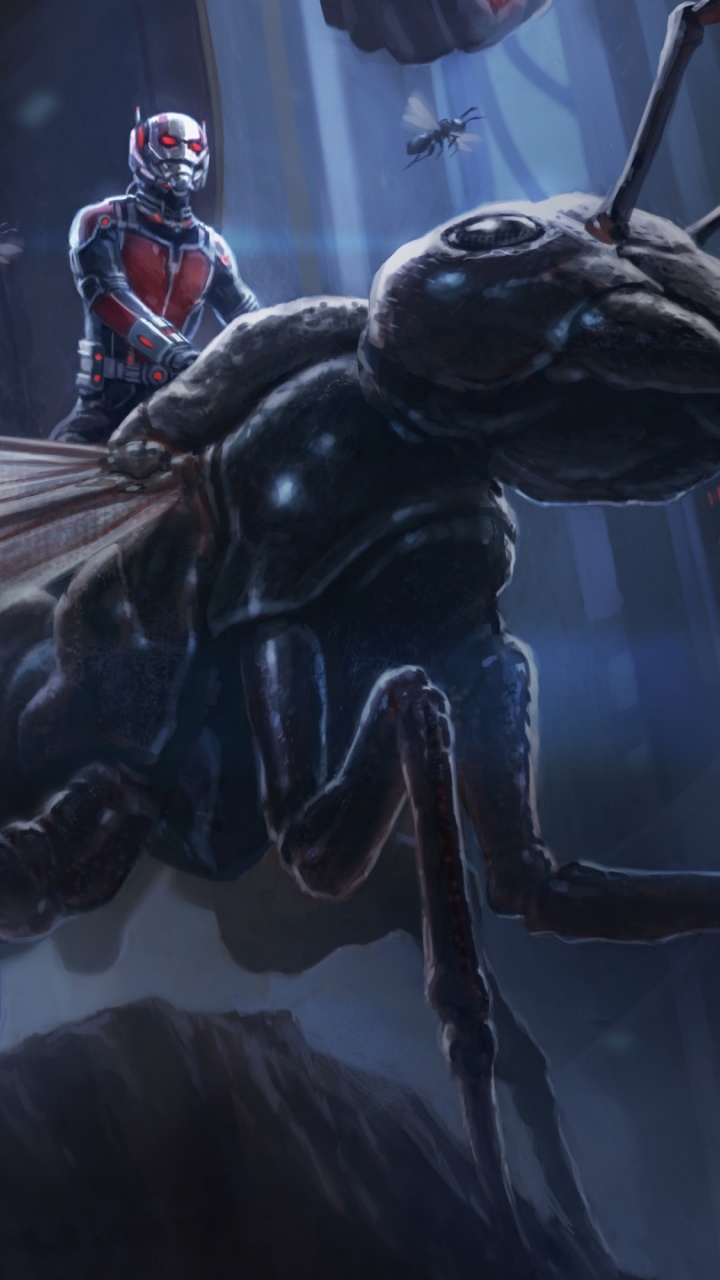 Schwarzes Und Braunes Insekt Auf Glas. Wallpaper in 720x1280 Resolution