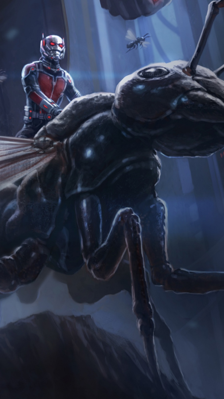 Schwarzes Und Braunes Insekt Auf Glas. Wallpaper in 750x1334 Resolution