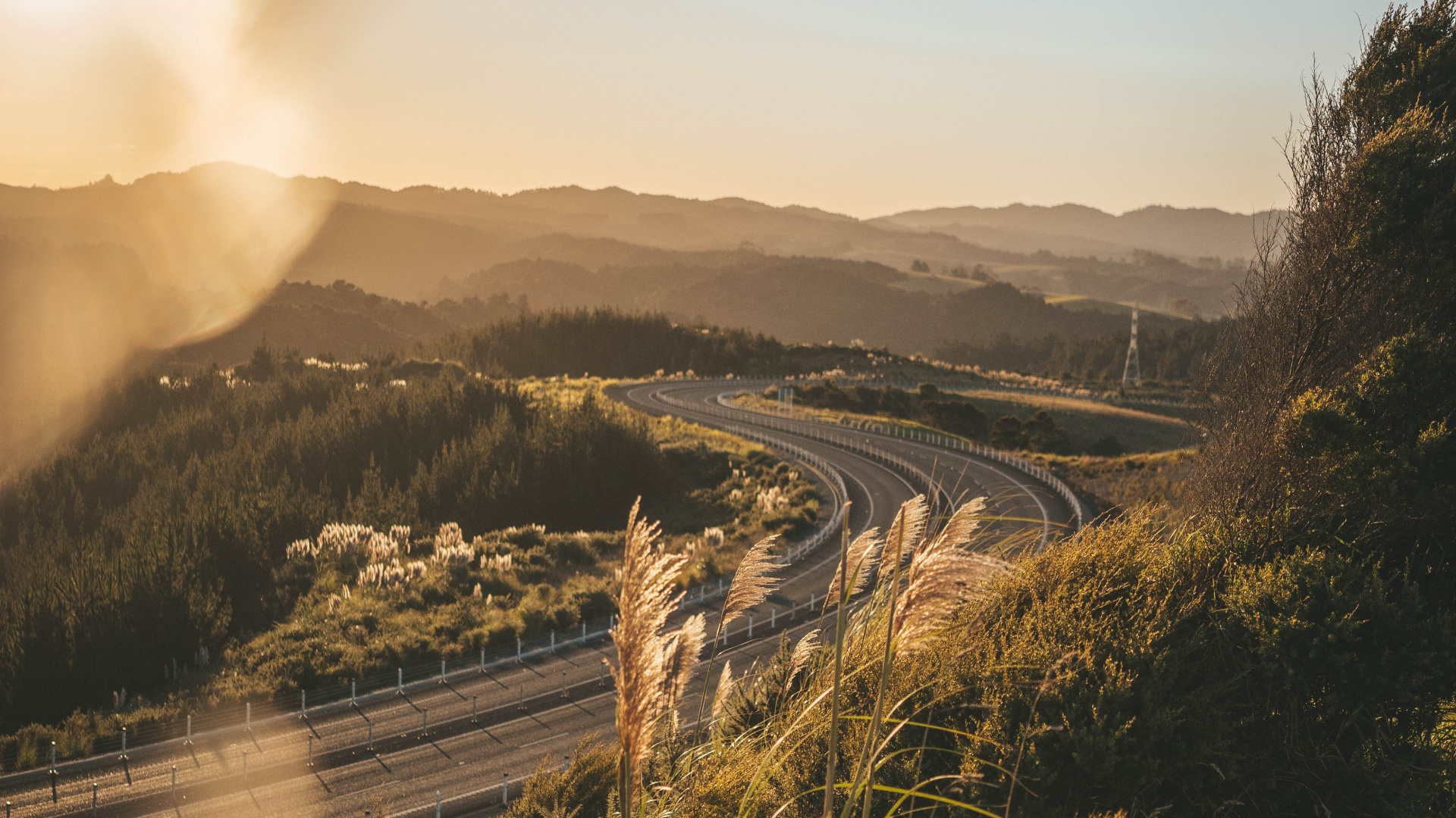 性质, 阳光, 光, 自然景观, 早上 壁纸 1920x1080 允许