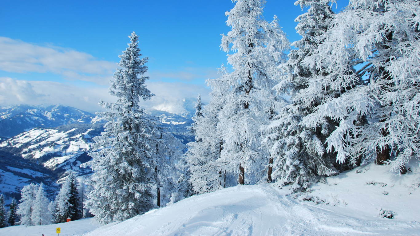 Árboles Cubiertos de Nieve y Montañas Durante el Día. Wallpaper in 1366x768 Resolution