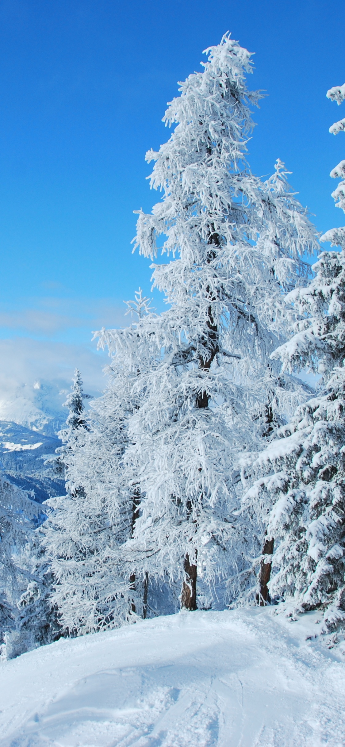 Schneebedeckte Bäume Und Berge Tagsüber. Wallpaper in 1125x2436 Resolution