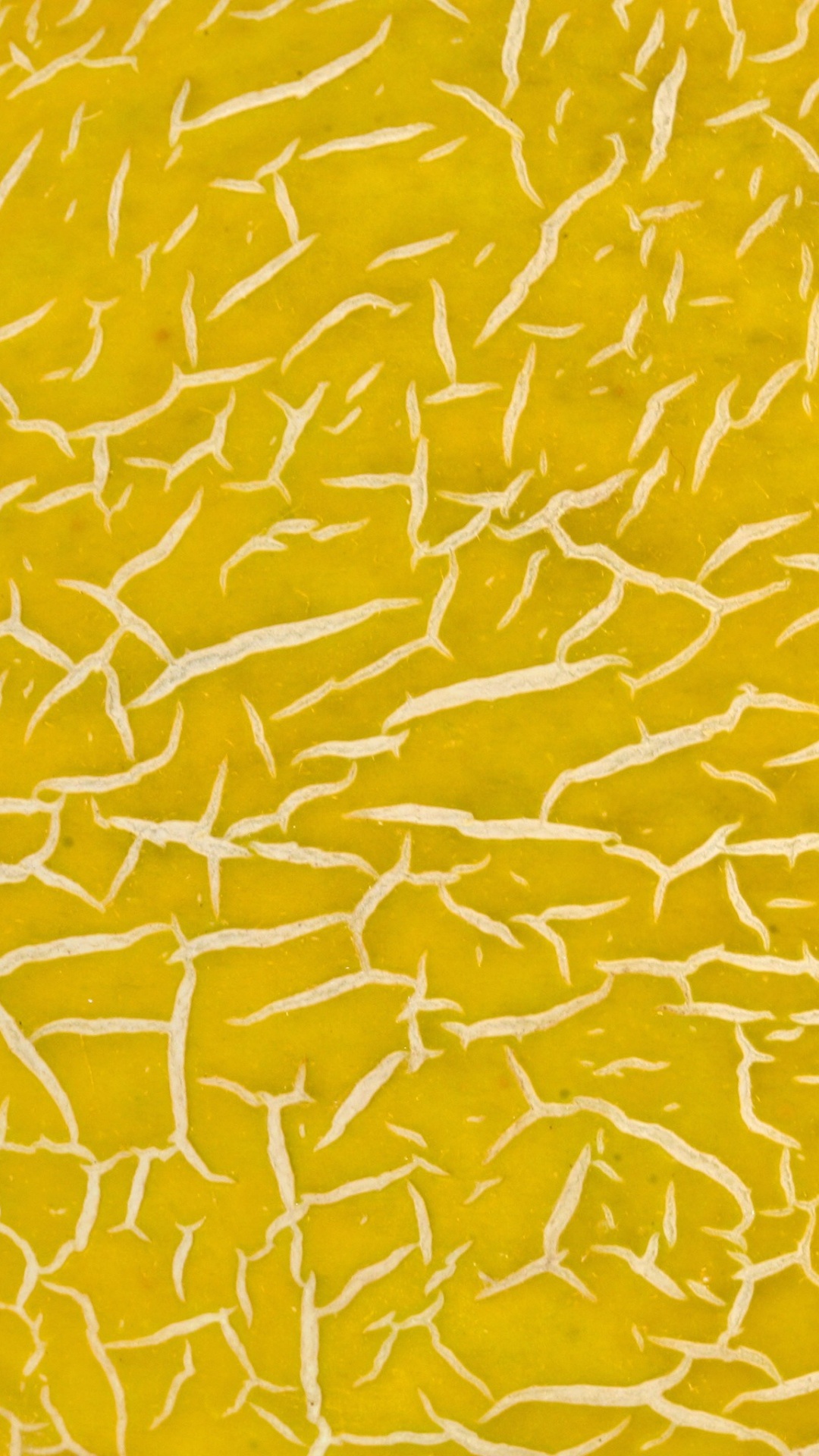 Textil Floral Amarillo y Blanco. Wallpaper in 1080x1920 Resolution