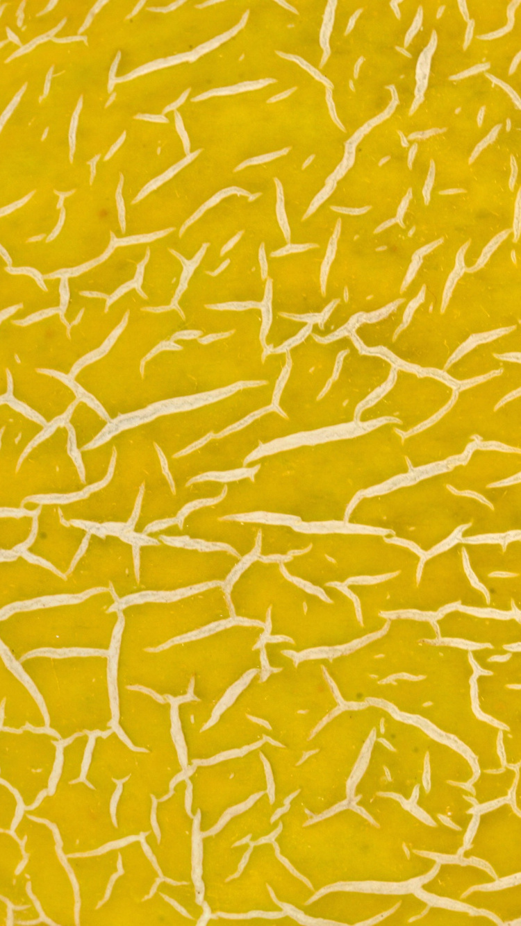 Textil Floral Amarillo y Blanco. Wallpaper in 750x1334 Resolution